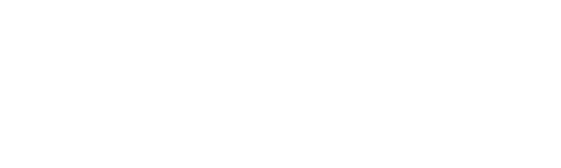 logo gosheni